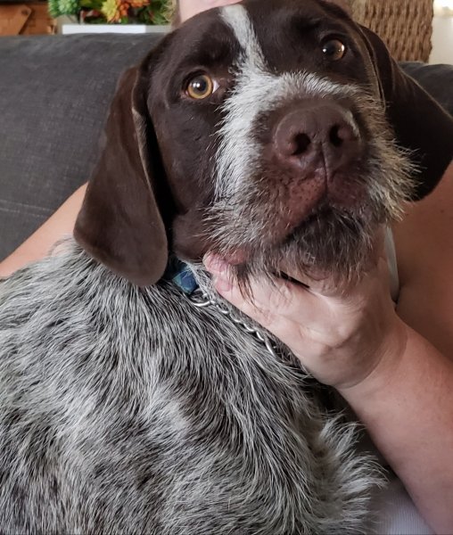 Fudd at 3 years old