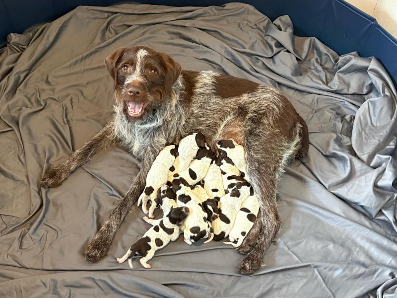 Proud momma