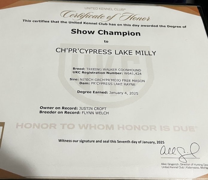 Dam is a show champion