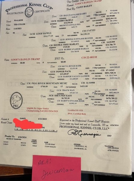 Sire pedigree