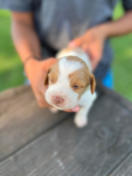 Female 4 head