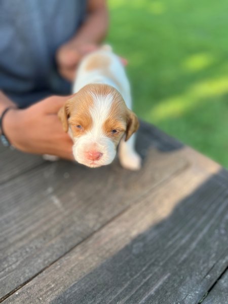 Female 2 head