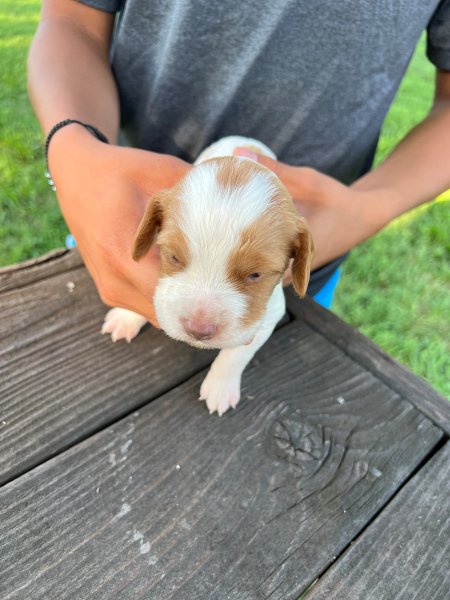 Female 3 head
